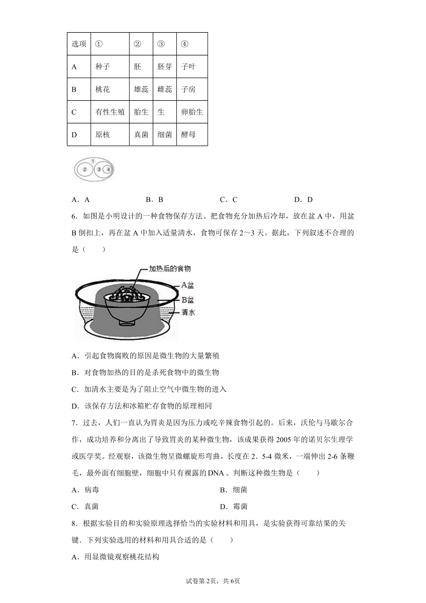 1.6 细菌和真菌的繁殖 同步练习（含解析）