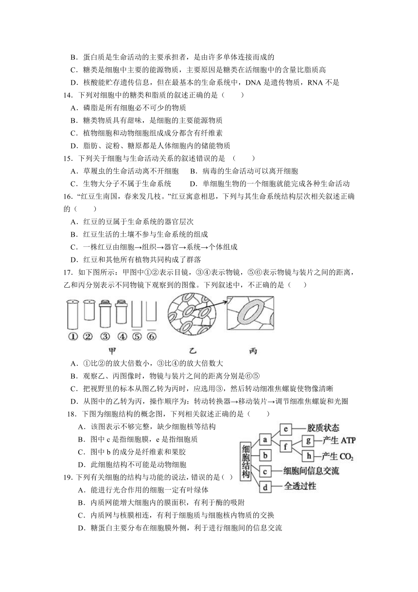 新疆维吾尔自治区呼图壁县第一高级中学2021-2022学年高二上学期期中考试生物试卷（Word版含答案）