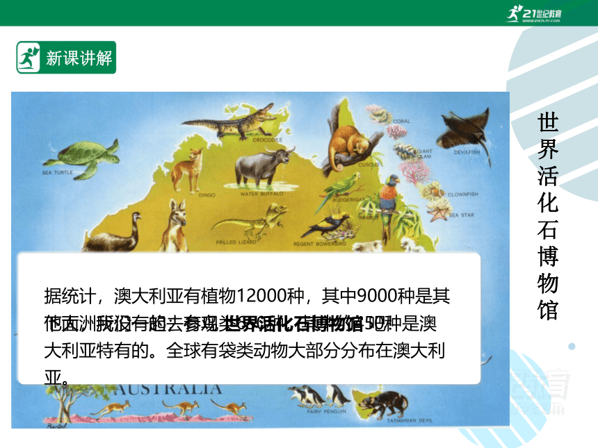 人教版七年级地理 下册 第八章 8.4 澳大利亚 课件（共47张PPT）