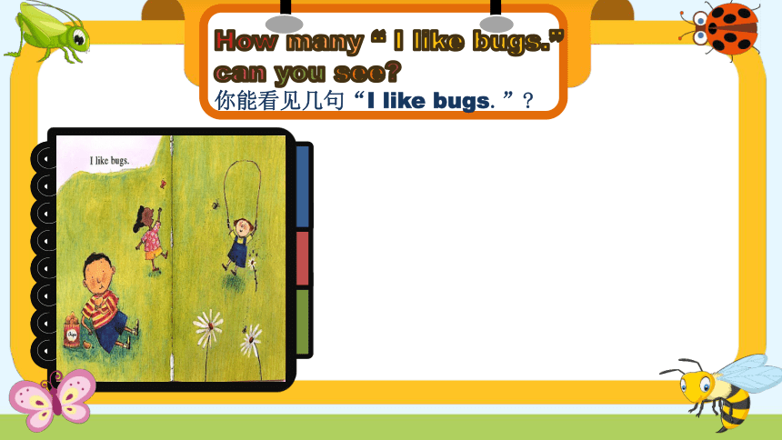 Unit 5 What's this？Extended reading 课件(共40张PPT)