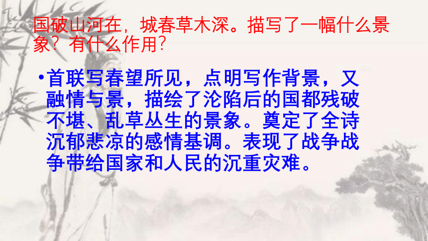 2021—2022学年部编版语文八年级上册第26课《诗词五首—春望》课件（共28张PPT）