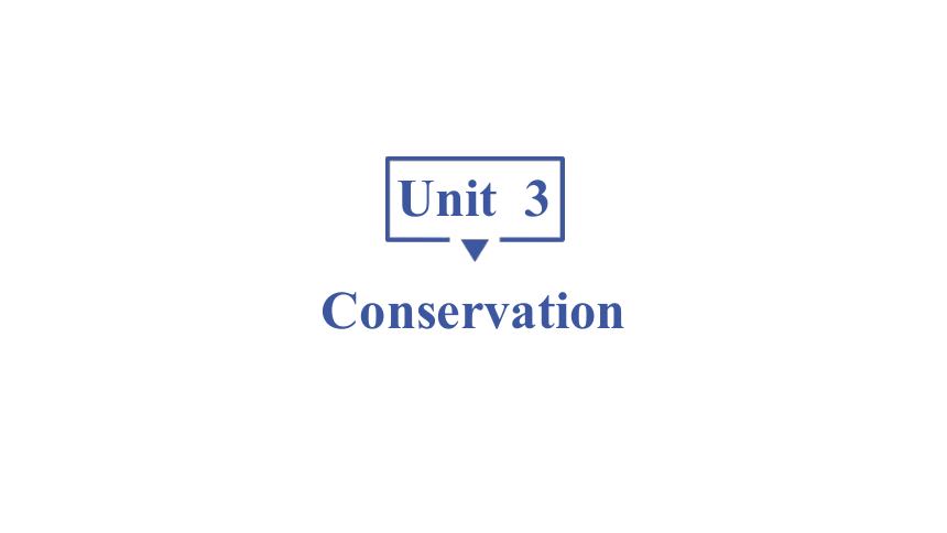 北师大版 （2019）选择性必修第一册 Unit 3  ConservationTopic Talk & Lesson 1 The Sixth Extinction 词句 重难点 课件(共67张PPT