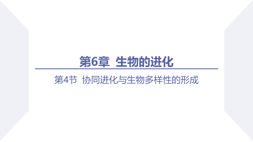 6.4 协同进化与生物多样性的形成 课件(共26张PPT) 2023-2024学年高一生物人教版（2019）必修第二册