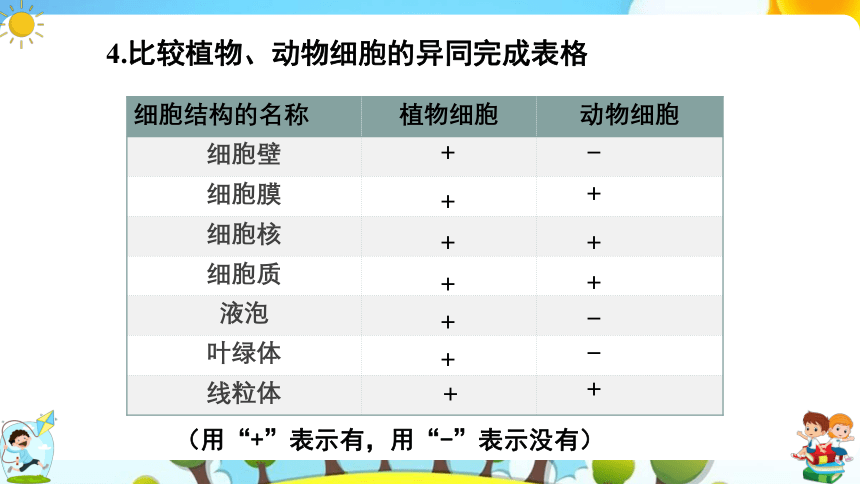 8.1 生物体的基本结构（第2课时）课件（共43张PPT）七年级下册生物（苏科版）