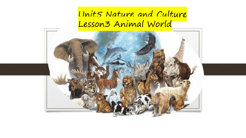 Unit 5 Nature and Culture Lesson 3 课件 (共32张PPT)