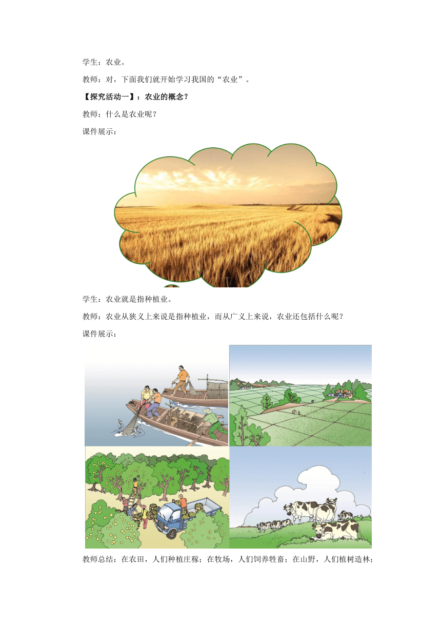 2022-2023学年湘教版地理八年级上册4.1.1农业 教案