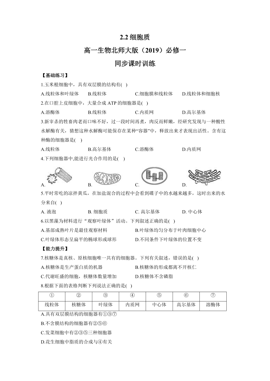 北师大版（2019）高中生物必修一 2.2 细胞质 同步练习（含答案）