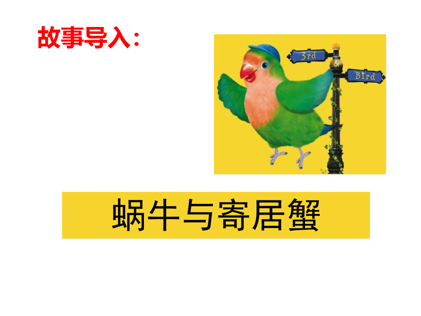 1.2《学做快乐鸟》教学课件（共55张PPT）