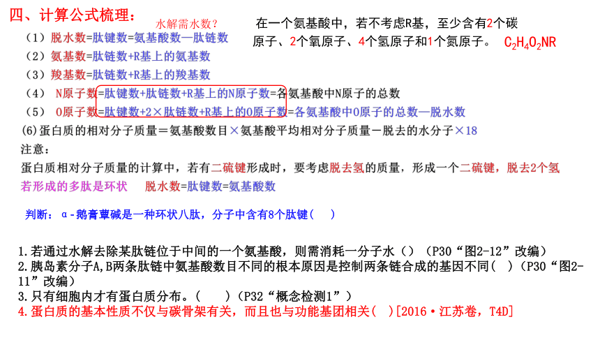 04 蛋白质和核酸-2024年高考生物一轮复习（新教材新高考）（共20张PPT)