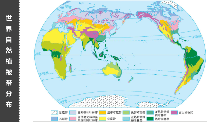 5.1植被（共36张ppt）