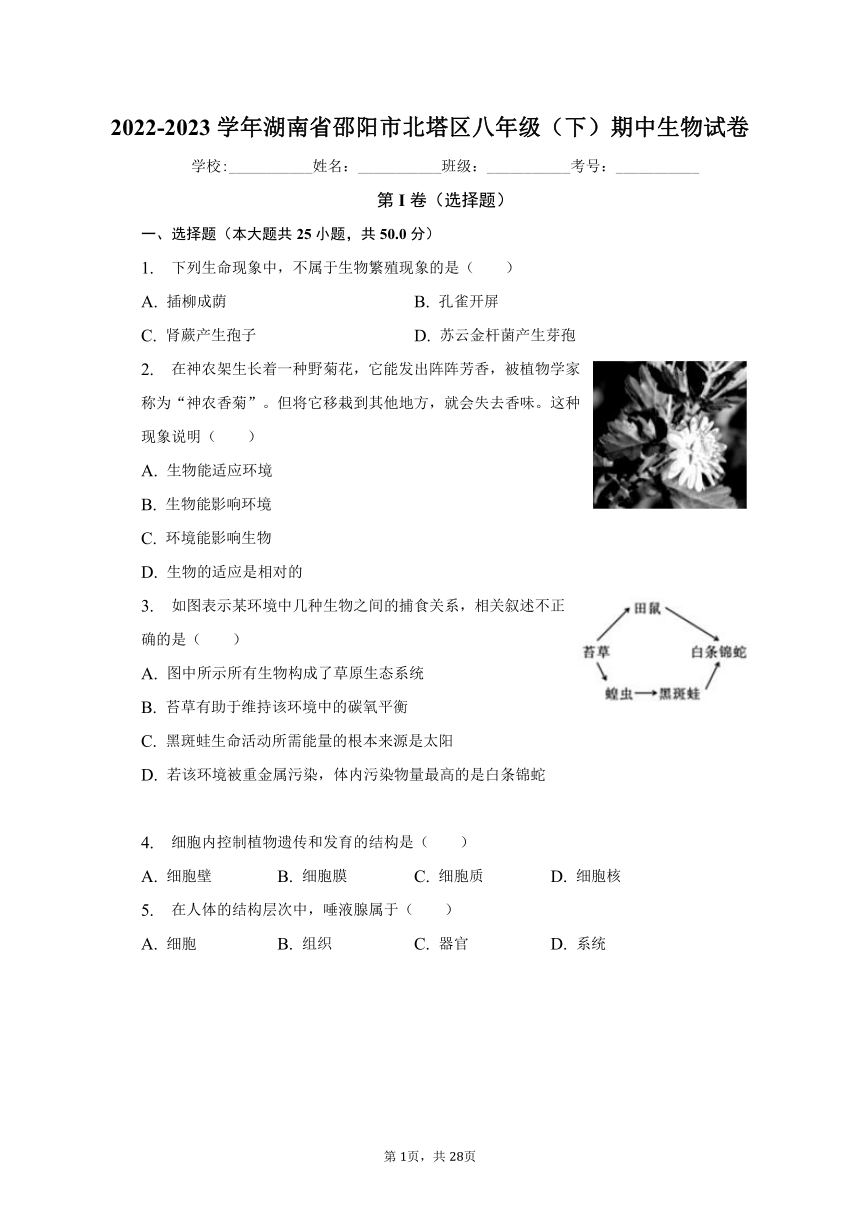 2022-2023学年湖南省邵阳市北塔区八年级（下）期中生物试卷（含解析）