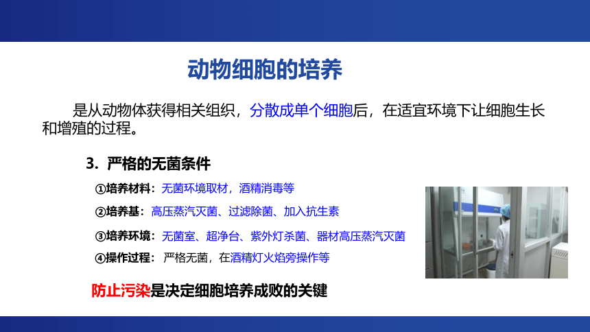 第一节 细胞培养是动物细胞工程的基础 课件（共21张PPT）