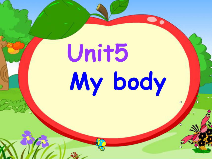 Unit5 My Body 课件(共47张PPT)