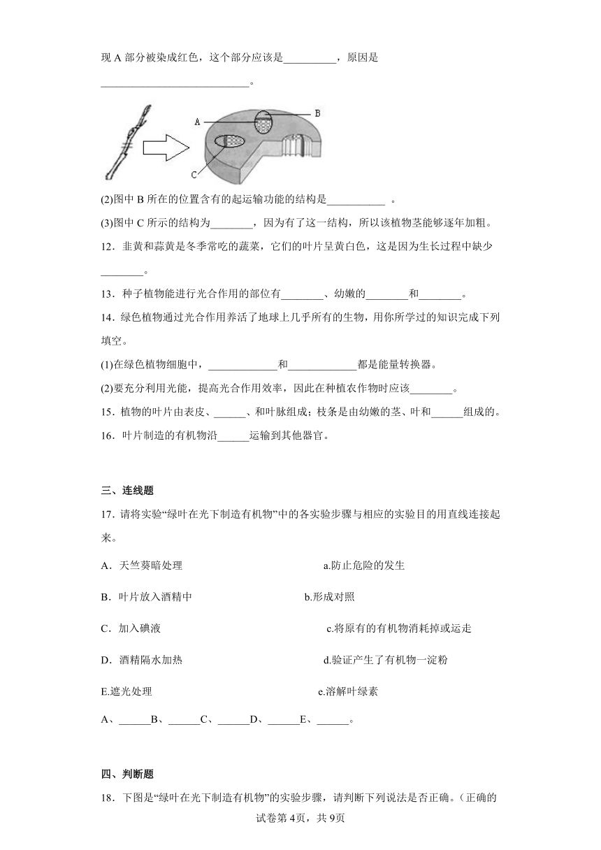 第三单元第三章 叶的光合作用  过关练习 冀少版生物八年级上册(word版  含答案）