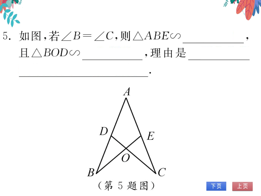 【沪科版】数学九年级上册 22.2 相似三角形的判定 第2课时 习题课件