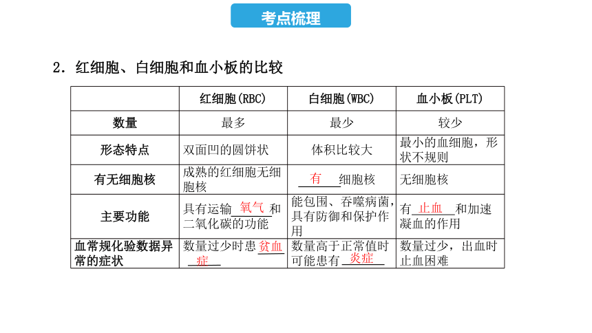 第四单元  第四章  人体内物质的运输-2023年中考生物复习课件（人教版）(共36张PPT)