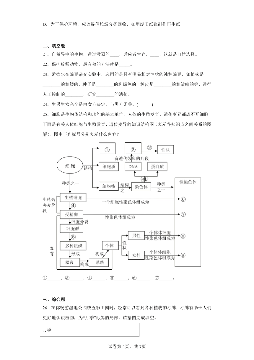 鲁教版生物八年级下册期末检测优化提升训练试题2（含解析）