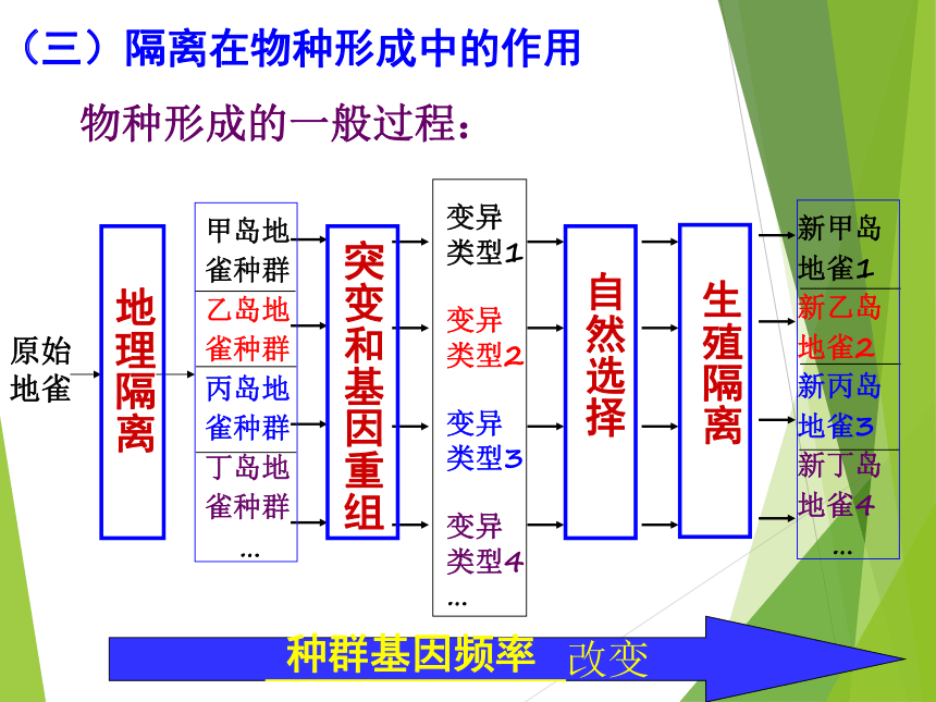 人教高中生物必修二7.2现代生物进化理论的主要内容 课件（35张ppt）