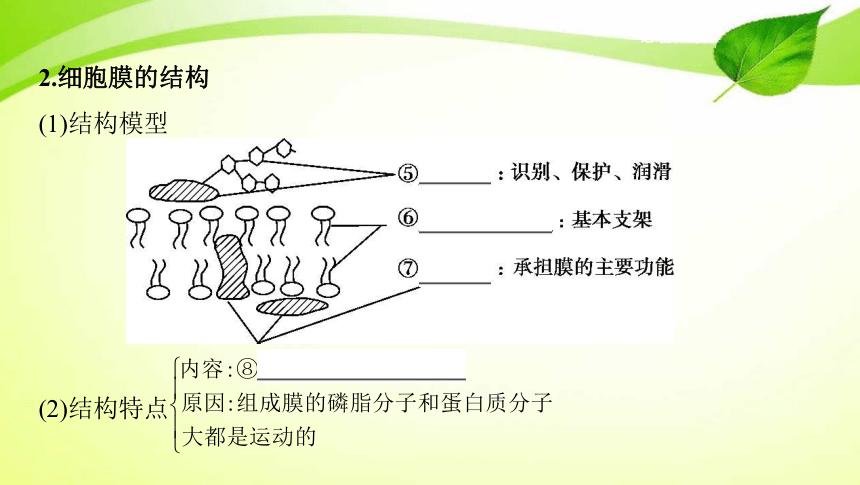 高考生物专题课件4：细胞膜、细胞器与细胞核(共81张PPT）