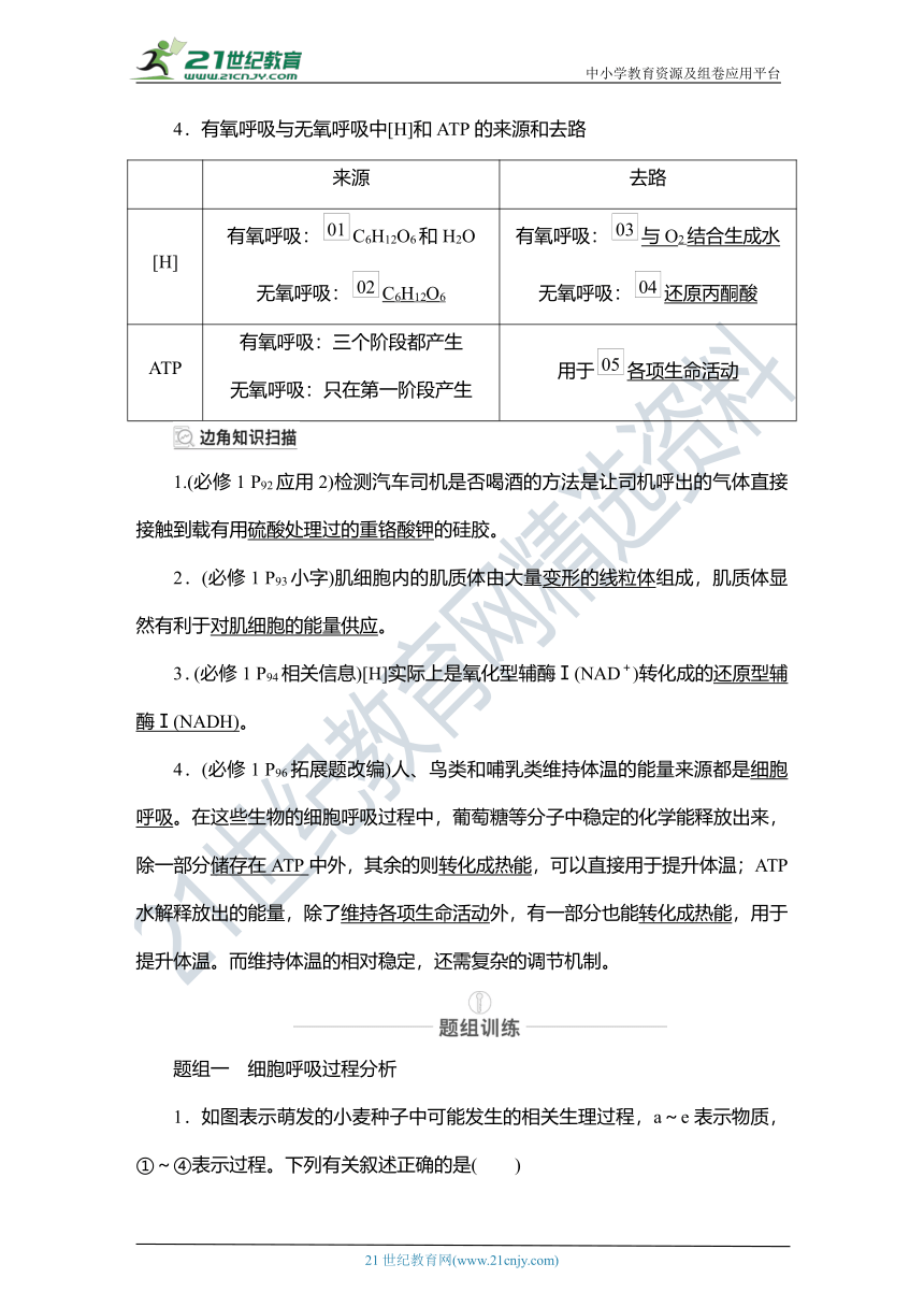 【备考2022一轮学案】第3单元　第9讲　ATP的主要来源——细胞呼吸（含解析）