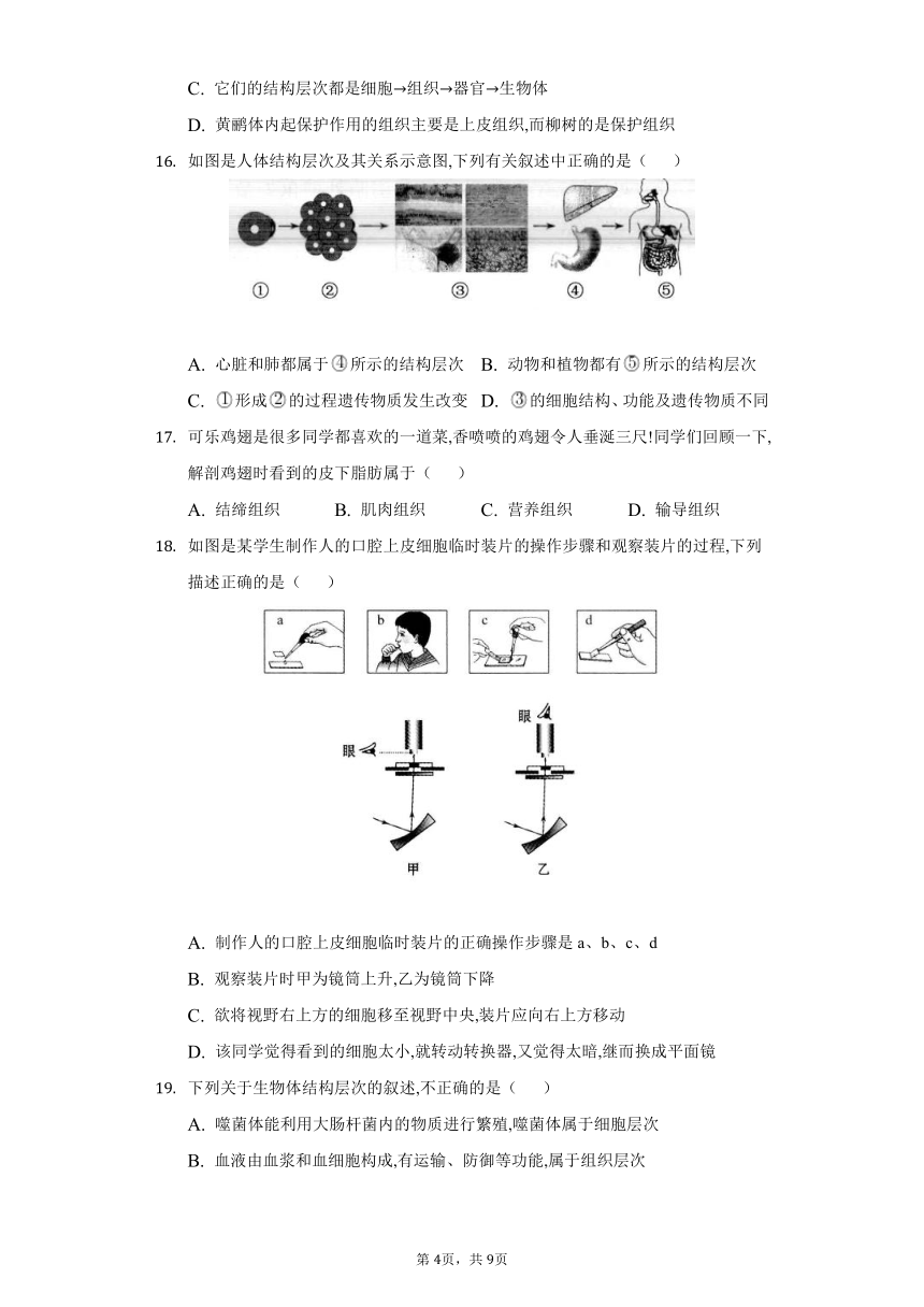 --2022-2023学年北师大版生物七年级上册 第二单元 生物体的结构单元同步练习（word版 含答案）