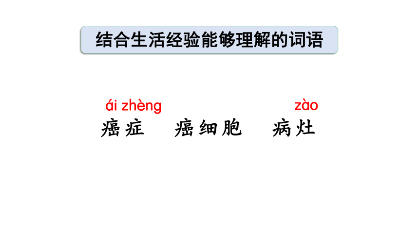 7 纳米技术就在我们身边   课件（2课时 40张PPT)