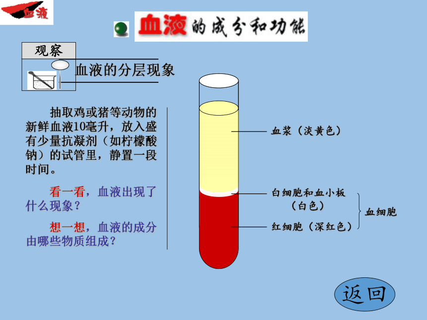 苏教版生物七年级下册 第十章 第一节 血液和血型课件(共26张PPT)