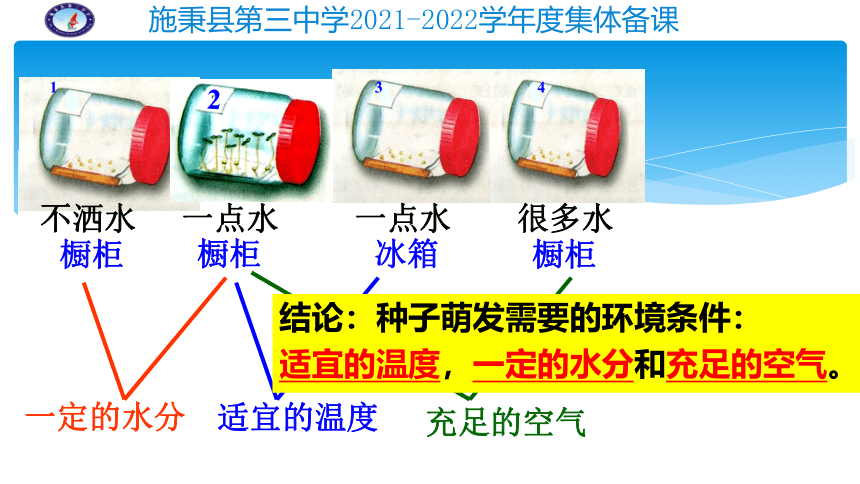 第三单元第二章 第1节种子的萌发课件(共24张PPT)贵州省施秉县第三中学2021--2022学年七年级生物人教版上册