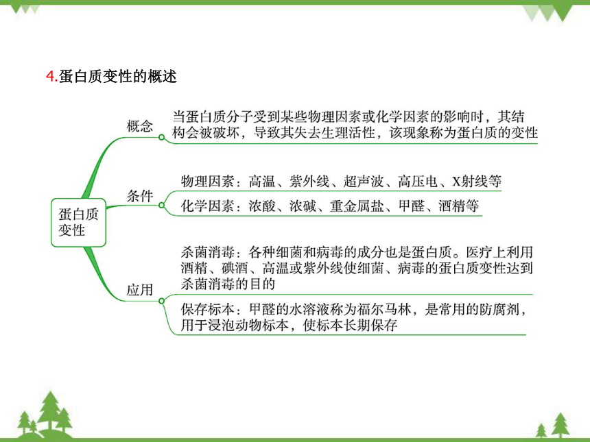 鲁教版九年级化学下册 第十单元 第三节  远离有毒物质 课件(共20张PPT)