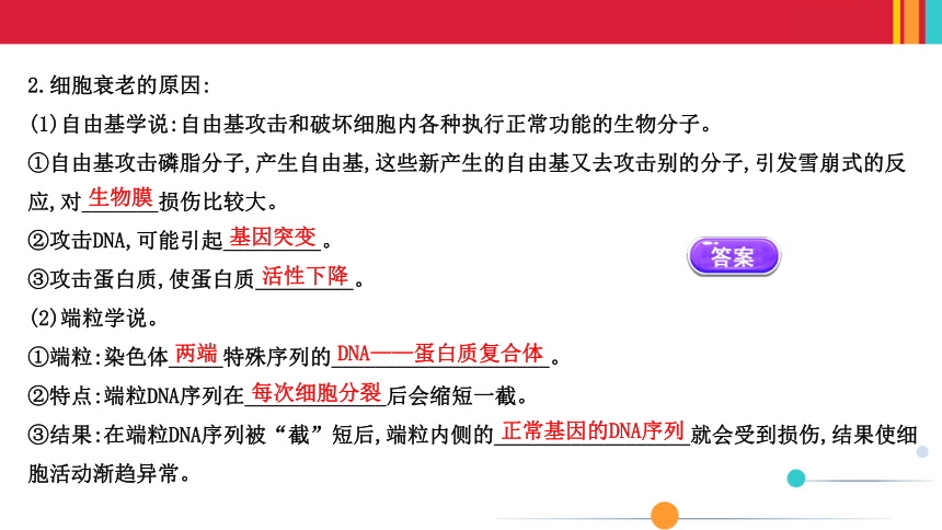 （新人教）生物必修一课件：6.3细胞的衰老和死亡(共35张PPT)