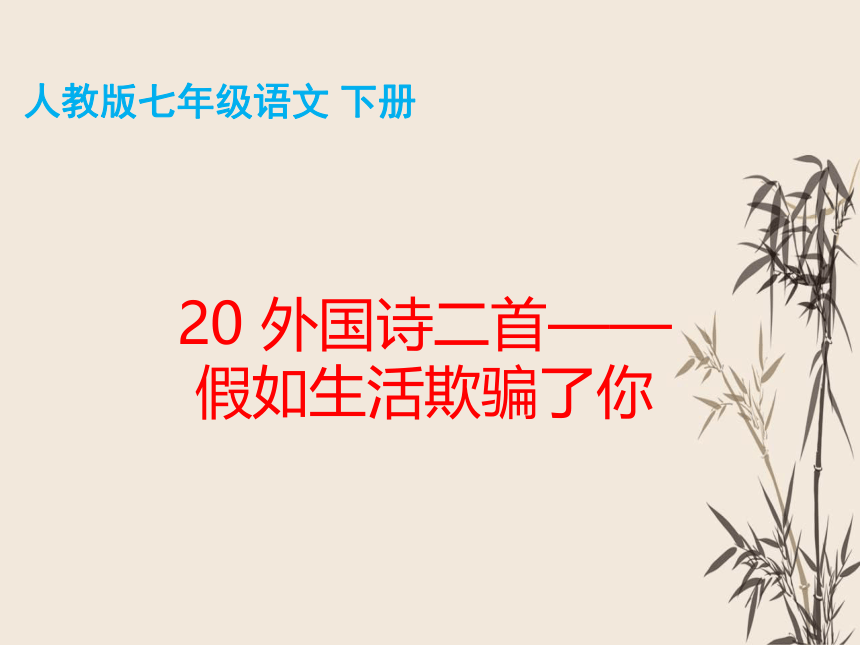 20 外国诗二首——假如生活欺骗了你 课件（共30张PPT）