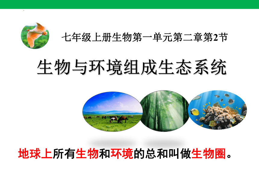 1.2.2生物与环境组成生态系统课件(共23张PPT)2023-2024学年人教版生物七年级上册