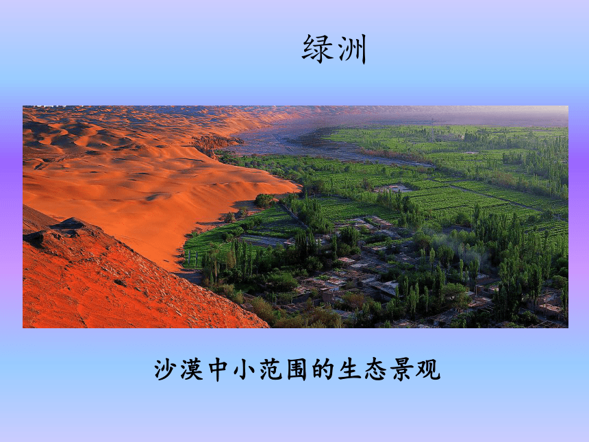 鲁教版（五四学制）七年级下册地理 第八章 第二节 干旱的宝地——塔里木盆地 课件(共36张PPT)