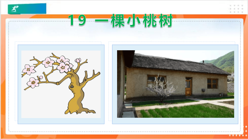 19 一棵小桃树-课件(共39张PPT）