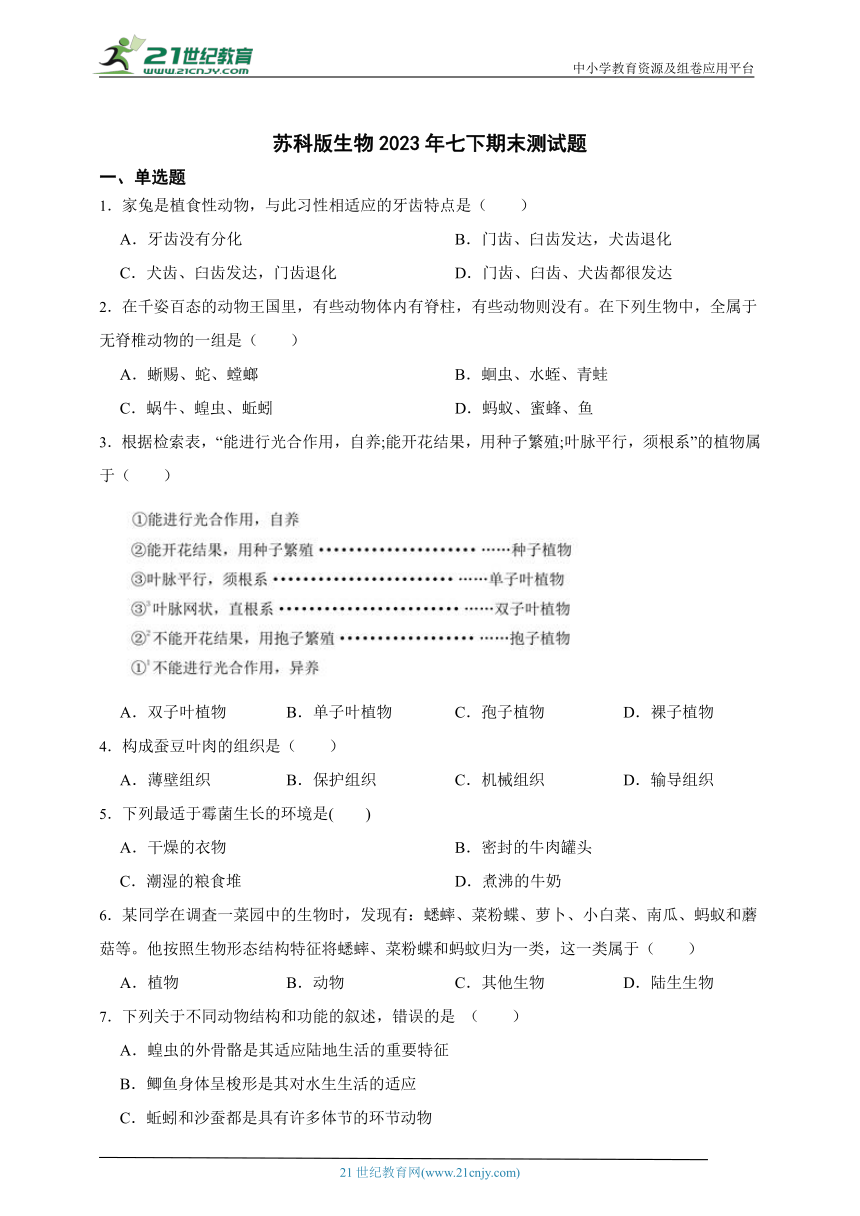 苏科版生物2023年七下期末测试题（含解析）