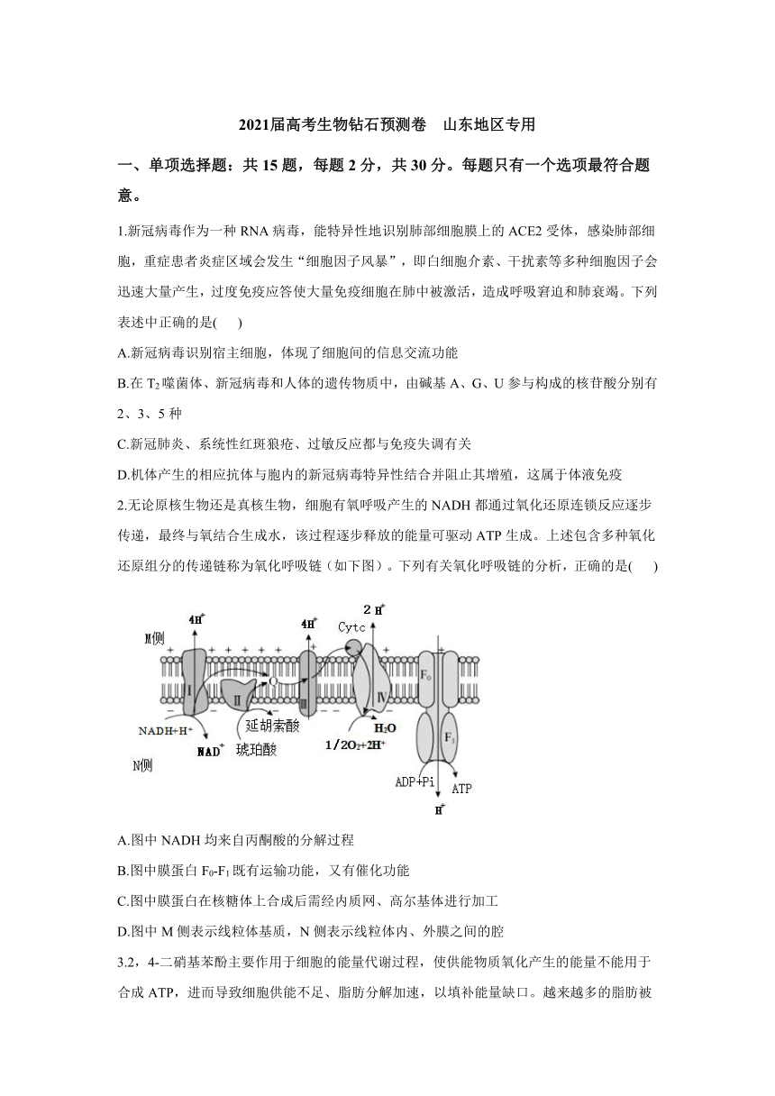 2021届高考生物钻石预测卷   山东专用 Word版含解析