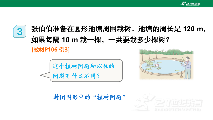 新人教版数学五年级上册7.3.植树问题（3）课件(23张PPT)