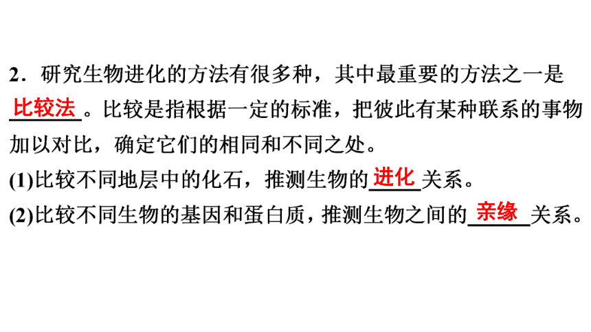 7.3.2 生物进化的历程 课件(共26张PPT)2023年春人教版八年级生物下册