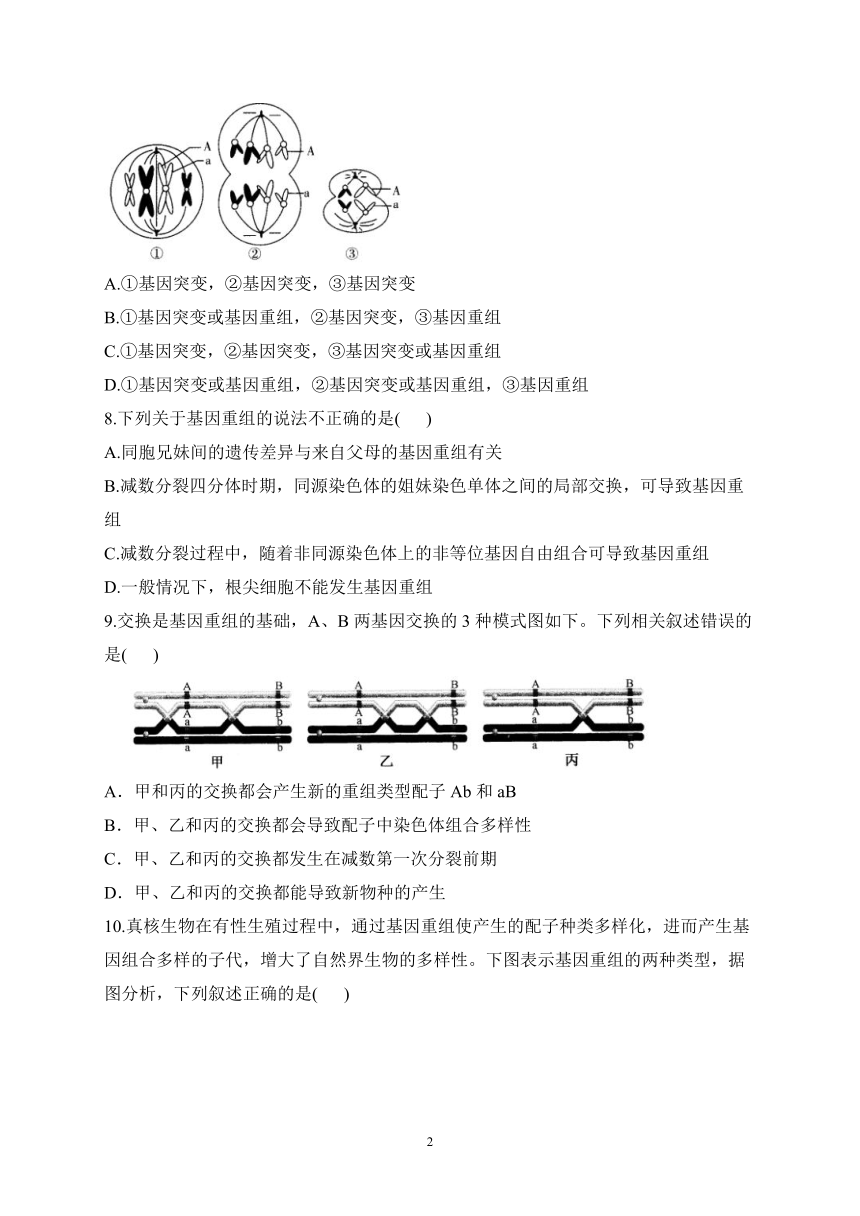 4.2基因重组使子代出现变异——2022-2023学年高一生物学浙科版（2019）必修二课时练习（有解析）