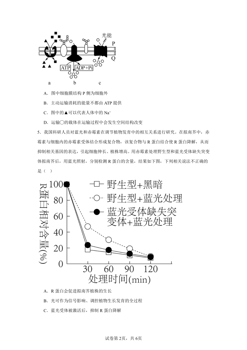 2024届陕西省西安市第一中学高三下学期模拟押题（二）理综试题-高中生物（含解析）