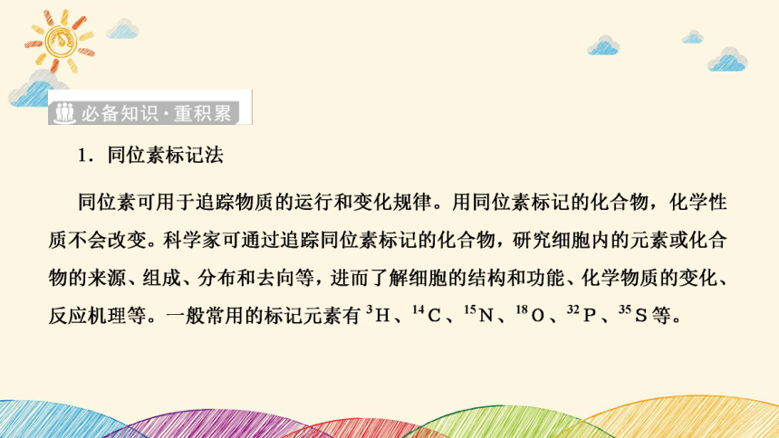 高考生物二轮重点讲练课件：科学思维之微专题2 结合同位素标记研究细胞分裂中的ＤＮＡ复制(共23张PPT)