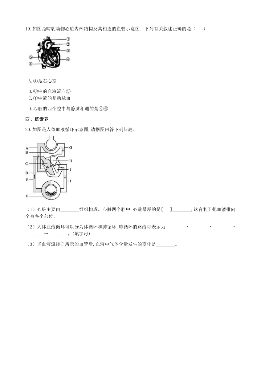 济南版生物七年级下册 3.3.3物质运输的途径 练习(word版 含答案)