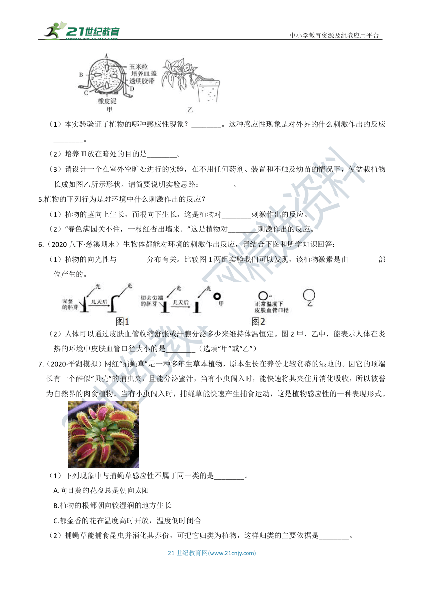 【章末题型分练】8年级上册 第3章 生命活动的调节 填空题（含答案）