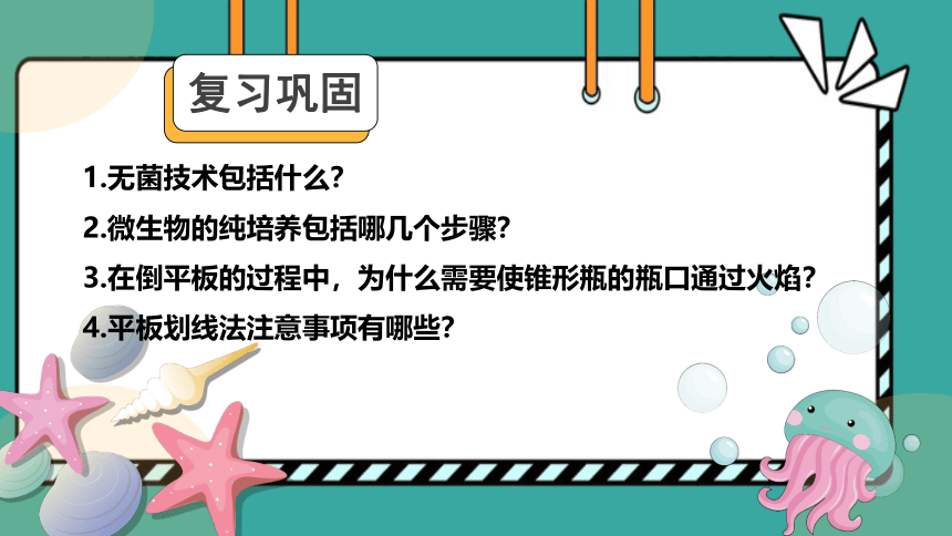 1.2.2微生物的选择培养和计数（第二课时）(共27张PPT)课件-人教版选择性必修三