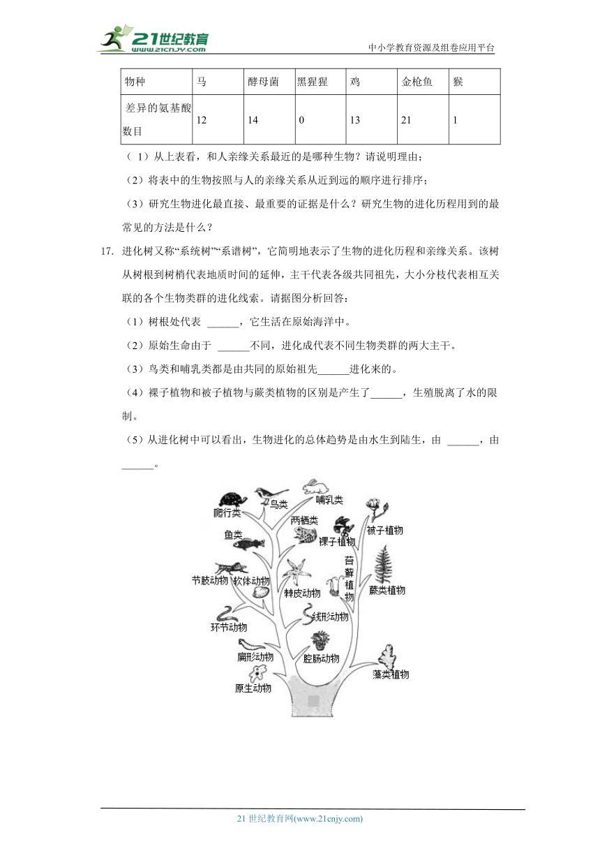 16.2生物进化的历程  苏教版初中生物八年级上册同步练习（含答案解析）