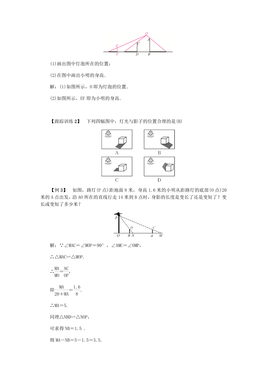 北师大版数学九年级上册：5.1 投影 导学案（含答案）
