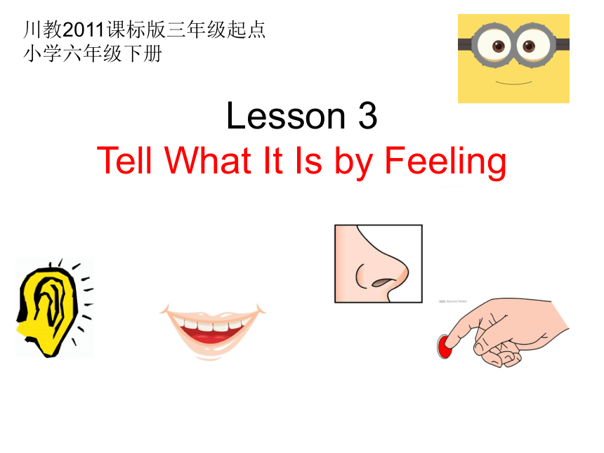 川教版三起 六下Unit2 Lesson 3 Tell What It Is by Feeling.课件（25张）