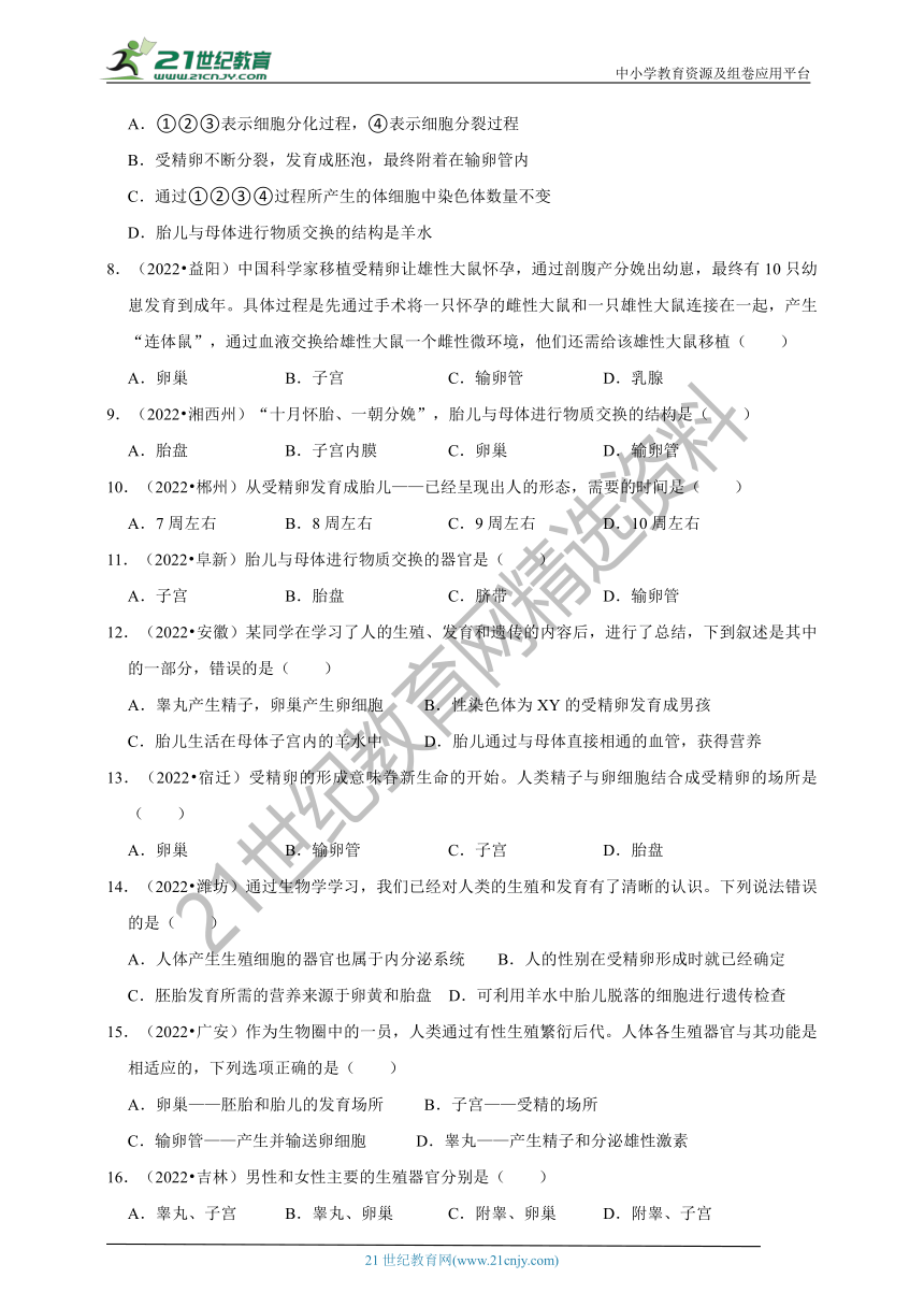 【备考2023】2022年中考生物真题分类汇编6——人的生殖和发育部分（含解析）