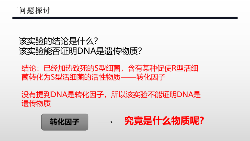 生物人教版（2019）必修2 3.1DNA是主要的遗传物质（共41张ppt）