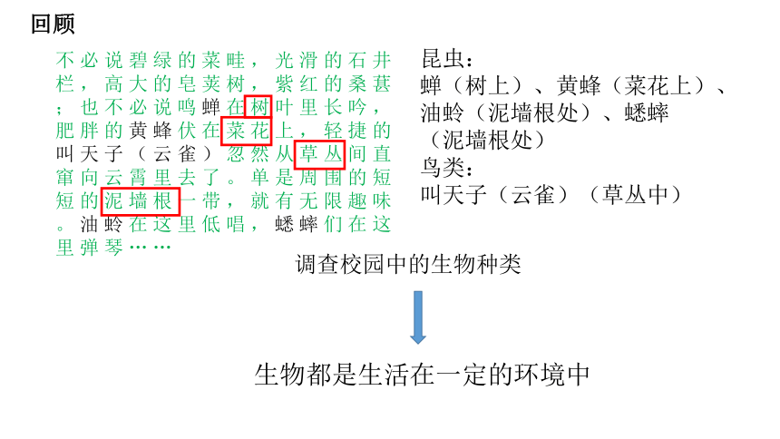 初中生物人教版七年级上册1.2.1生物与环境的关系（第一课时）课件(共22张PPT)